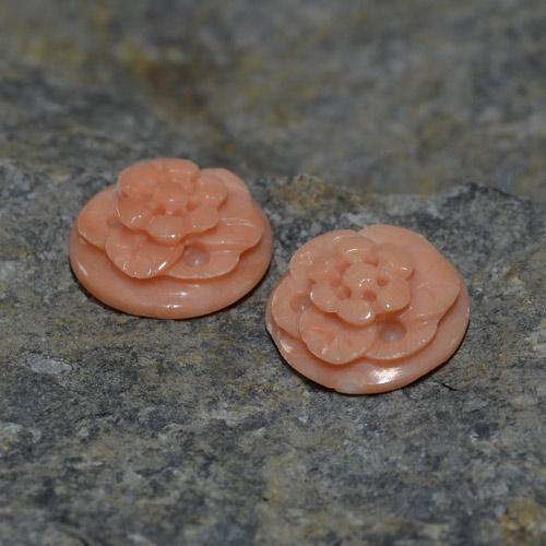 4.93天然粉色珊瑚，花形切工，10.8×4.2毫米，不透明