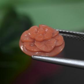 3.63克拉天然珊瑚，花形切割，不透明