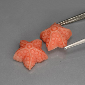 克拉天然珊瑚，异形，不透明