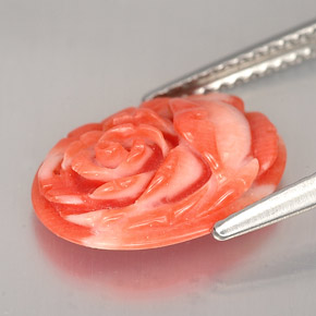 2.36克拉天然珊瑚，异形，不透明