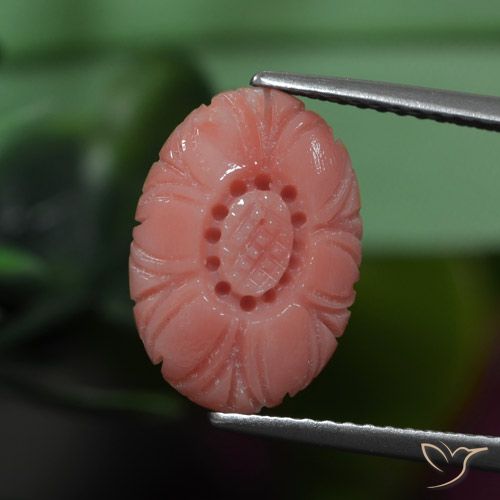 3.19ct 天然 淡红色调 珊瑚, 花形切割, 不透明