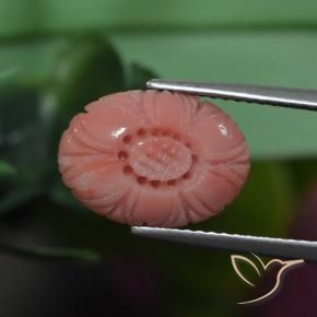 3.19克拉天然珊瑚，花形切割，不透明