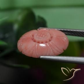 3.19克拉天然珊瑚，花形切割，不透明