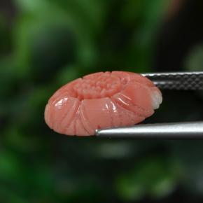 3.00克拉天然珊瑚，花形切割，不透明