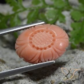 4.11克拉天然珊瑚，花形切割，不透明