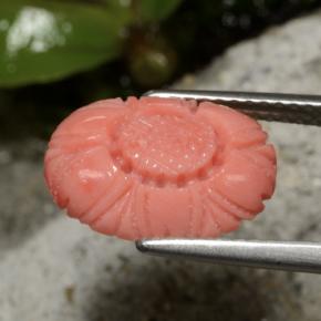 3.10克拉天然红色珊瑚，花形切工，13.3×9.6毫米，不透明
