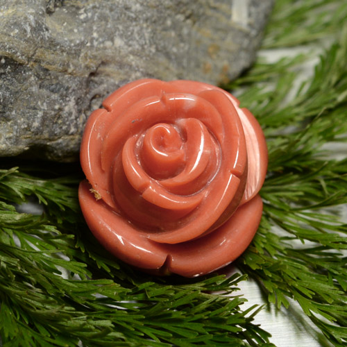 18.58克拉天然珊瑚，异形，不透明