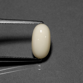 2.23克拉天然珊瑚，椭圆形切割，不透明