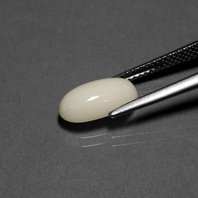 2.23克拉天然珊瑚，椭圆形切割，不透明