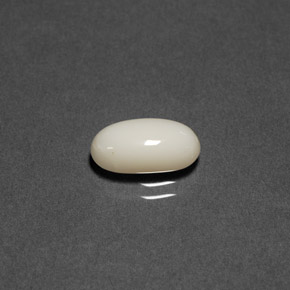 1.84克拉天然白色珊瑚，椭圆形切割，10.8×5.8毫米，不透明