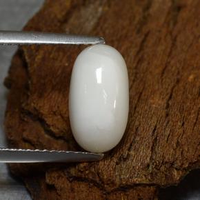 2.39克拉天然白色珊瑚，椭圆形切割，11×6.1毫米，不透明