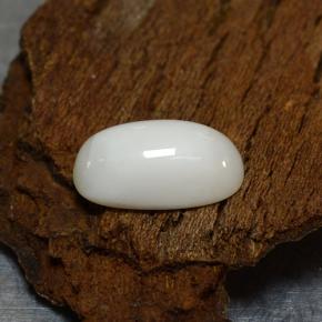 2.39克拉天然白色珊瑚，椭圆形切割，11×6.1毫米，不透明