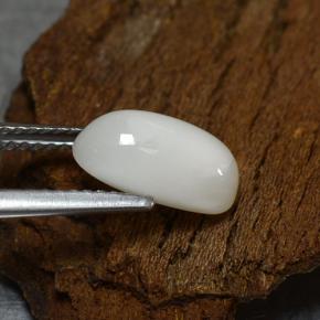 2.39克拉天然白色珊瑚，椭圆形切割，11×6.1毫米，不透明