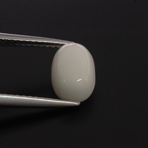 2.00克拉天然珊瑚，椭圆形切割，不透明