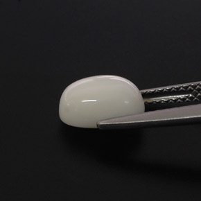 2.00克拉天然珊瑚，椭圆形切割，不透明