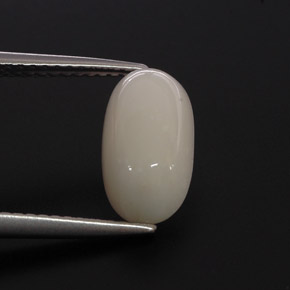 2.85克拉天然白色珊瑚，椭圆形切割，11.7×6.4毫米，不透明