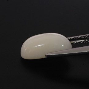 2.85克拉天然白色珊瑚，椭圆形切割，11.7×6.4毫米，不透明