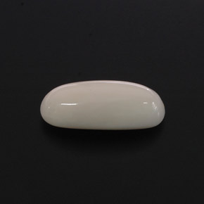 2.28克拉天然白色珊瑚，椭圆形切割，12.6×5.4毫米，不透明