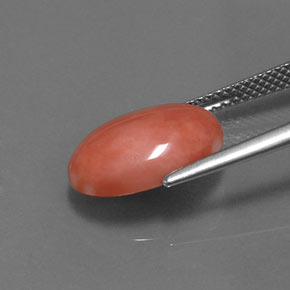 4.05克拉天然粉色珊瑚，椭圆形切割，14×9.9毫米，不透明