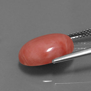 4.53克拉天然珊瑚，椭圆形切割，不透明