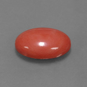 3.33克拉天然粉色珊瑚，椭圆形切割，13×9毫米，不透明