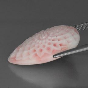 13.69克拉天然珊瑚，异形，不透明