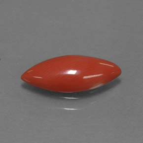 1.18克拉天然粉色珊瑚，马眼形，12.7×5.4毫米，不透明