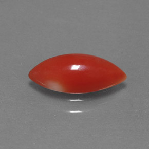 1.30克拉天然粉色珊瑚，马眼形，11.9×5.4毫米，不透明