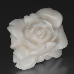 27.83克拉天然珊瑚，异形，不透明