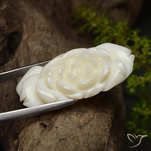 36.24克拉天然珊瑚，花形切割，不透明