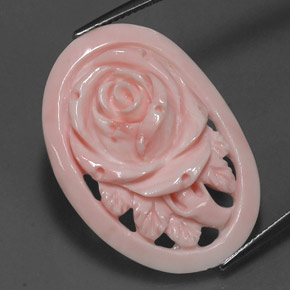 17.81克拉天然珊瑚，异形，不透明