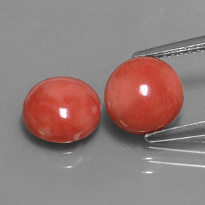 克拉天然珊瑚，圆形切割，不透明