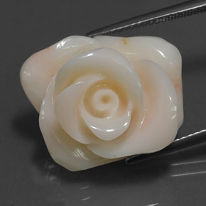 18.54克拉天然奶油色珊瑚，异形，20.1×16.4毫米，不透明