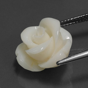 8.97克拉天然珊瑚，异形，不透明