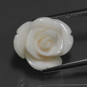10.95克拉天然白色珊瑚，异形，16.7×14.3毫米，不透明