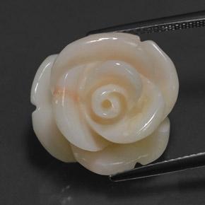 17.14克拉天然粉色珊瑚，异形，17.9×17.6毫米，不透明