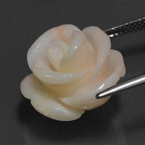 17.14克拉天然粉色珊瑚，异形，17.9×17.6毫米，不透明