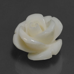 14.08克拉天然白色珊瑚，异形，17×15.7毫米，不透明