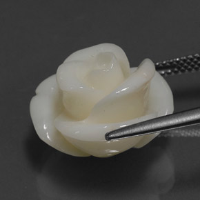 14.08克拉天然白色珊瑚，异形，17×15.7毫米，不透明