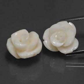 21.60天然白色珊瑚，花形切工，15.5×13.9毫米，不透明