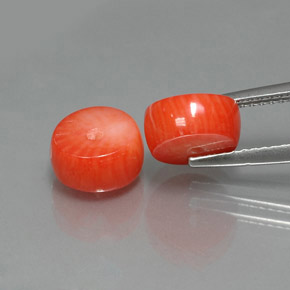 克拉天然珊瑚，异形，不透明