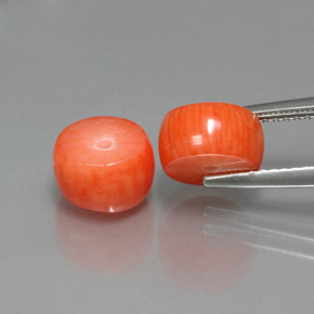 克拉天然珊瑚，异形，不透明