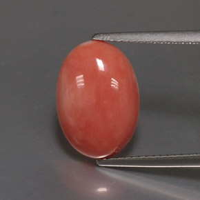 4.05克拉天然粉色珊瑚，椭圆形切割，14×9.9毫米，不透明