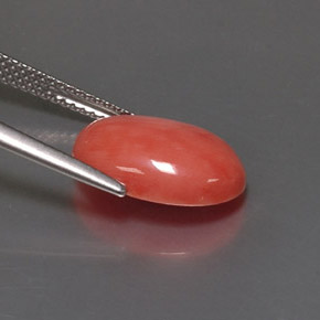 4.05克拉天然粉色珊瑚，椭圆形切割，14×9.9毫米，不透明