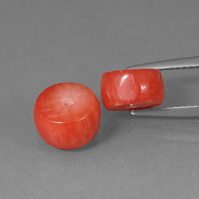 克拉天然珊瑚，异形，不透明