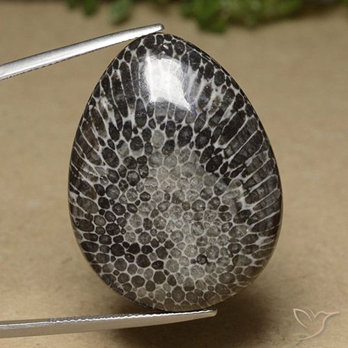 46.04ct 天然 彩色 珊瑚, 梨形, 不透明