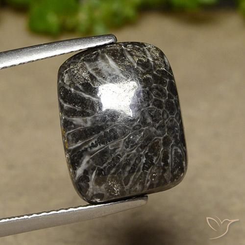 11.07ct 天然 彩色 珊瑚, 软垫, 不透明, Photo A