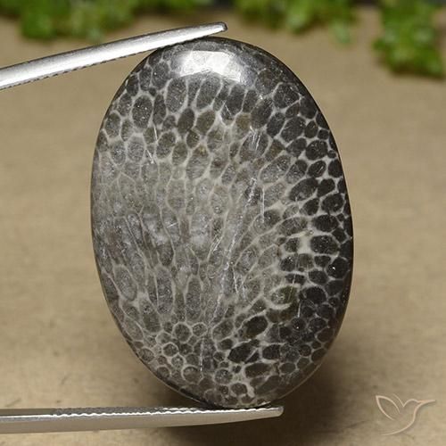 25.50ct 天然 彩色 珊瑚, 椭圆形, 不透明
