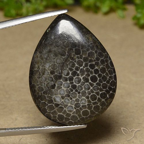 21.35克拉天然珊瑚，梨形，不透明