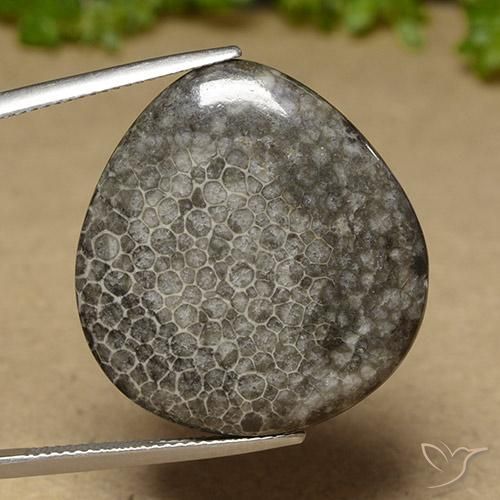 27.41ct 天然 彩色 珊瑚, 梨形, 不透明